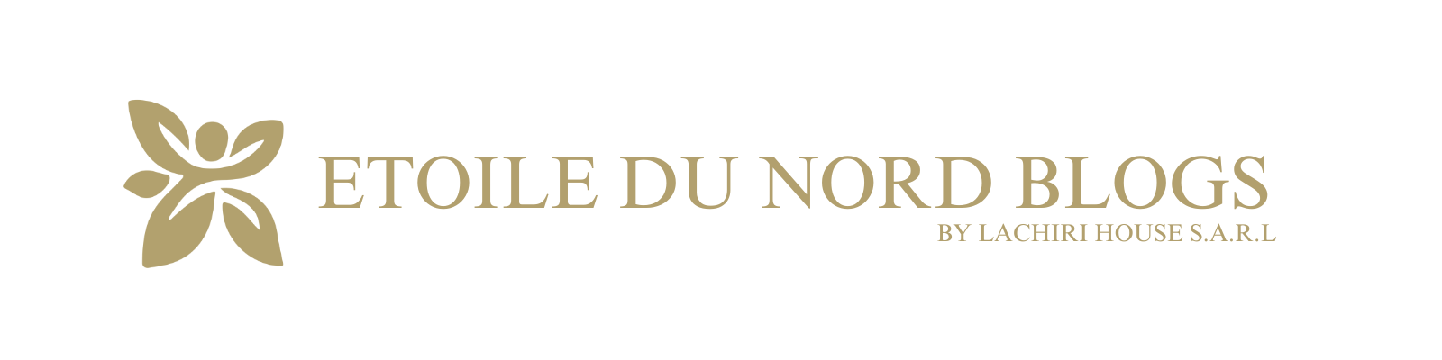 Logo etoile du nord (1600 x 400 px) (2)